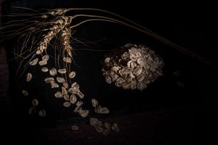 Rye and oatmealの写真素材