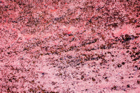 pink painted wall. textureの写真素材