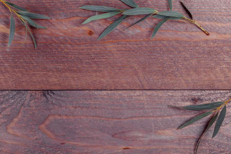 border frame made of branches eucalyptus on dark wooden background. lay flat, top view