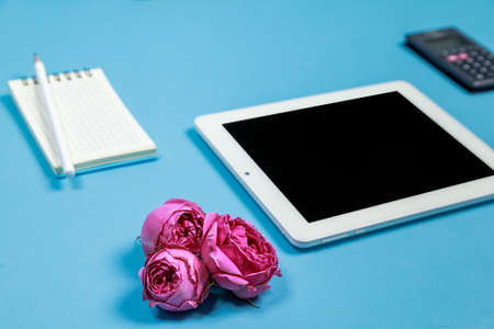 Office table desk with tablet, calculator, flowers and white blank notepad on blue background. side...