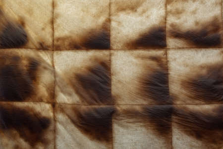 inside of the duvet after washing to the light. internal structure with down and feathersの写真素材