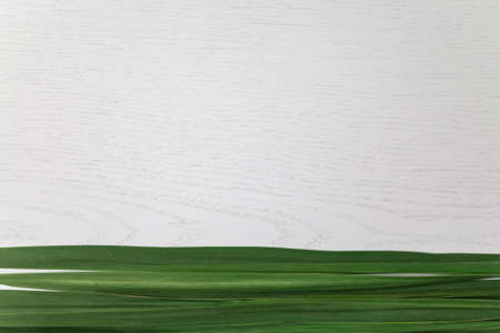 leaves on light white wooden background. blank for text