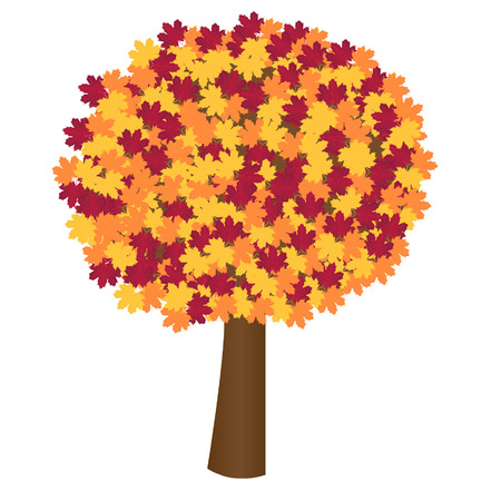 Vector illustration of Autumn treeのイラスト素材