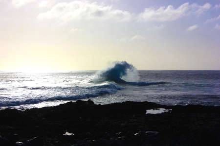 The Canary Islands, Fuerteventura