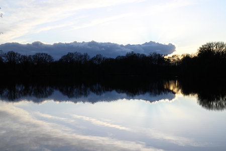 Natural Reserve Boberger Niederung in Hamburg, Germanyの写真素材