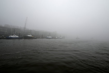 Foggy morning at the River Elbe, Hamburg, Germanyの写真素材