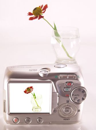 The image of a flower in a glass. Camera viewfinder.の写真素材