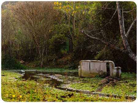 swamp with an old abandoned sofa and a bird in the water terrorの写真素材