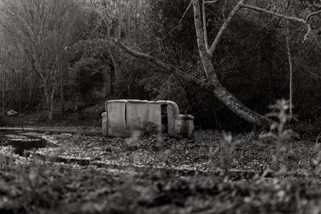 swamp with an old abandoned sofa in black and whiteの写真素材