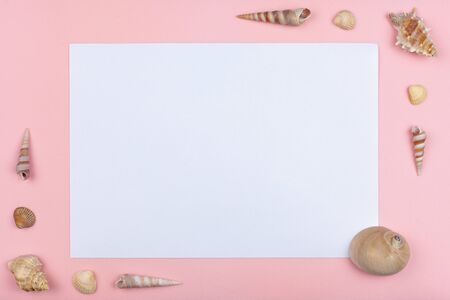 in two corners are shells on a pink background. Center white sheetの写真素材