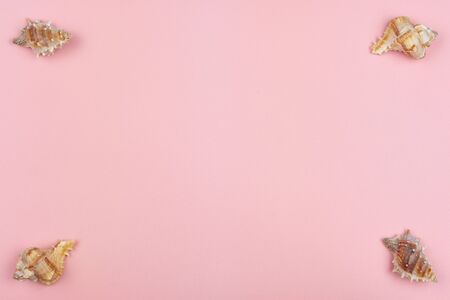 four shells in the corners of a pink backgroundの写真素材