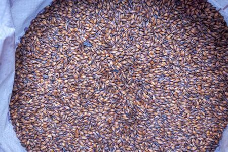 Caramel beer malt in a bag close-upの写真素材
