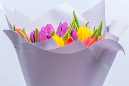 bouquet of red, violet and yellow tulips wrapped in light violet paper, close-upの写真素材