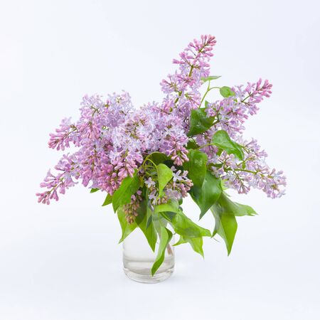 A branch of purple lilac in a glass of water, used as a background or textureの写真素材