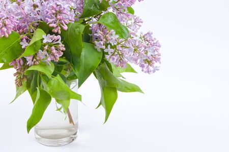 A branch of purple lilac in a glass of water, used as a background or textureの写真素材