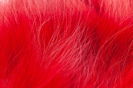 Bright red fur close-up, used as a background or texture. Soft focusの写真素材