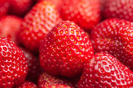 Lots of strawberry view from above, use as background or texture