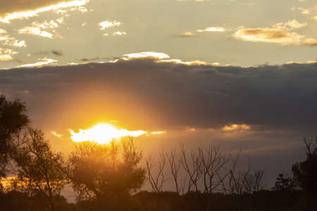 sunset over trees, the rays of the sun through the cloudsの写真素材
