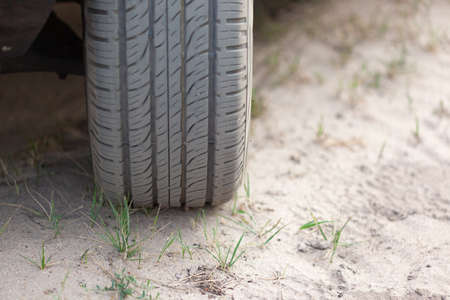 Car wheel on sand, rare grass grows out of sand