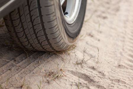Car wheel on sand, rare grass grows out of sand