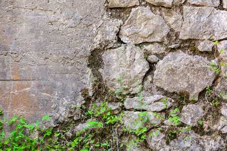 The old cobblestone wall is covered with plants, used as a background or texture