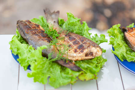 grilled sea bass on a plate with greens close-up