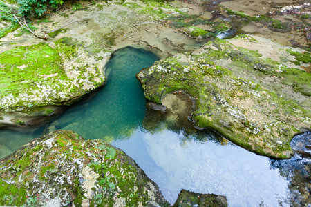 Turquoise water in rock, overgrown with grass and moss with blurry background, used as a background or texture, soft focusの写真素材