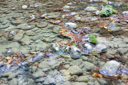 small river with gray stones overgrown with moss with blurry background, used as a background or...