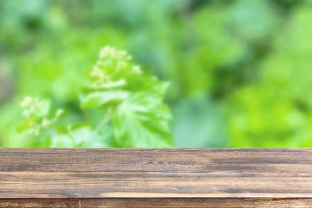 wood table top on blur green bush backgroundの写真素材