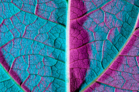 plant leaf close-up with blue backlight. Use as texture or background