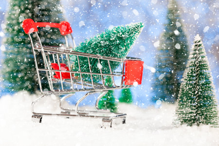 new year shopping, supermarket basket on the snow, conceptの写真素材
