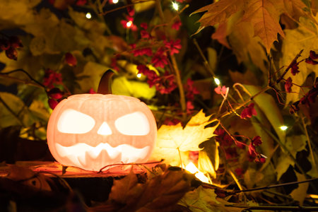glowing pumpkin against the background of fall foliageの写真素材