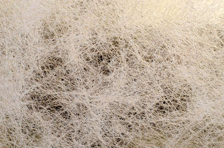 gold abstract cobweb background,horizontal photo