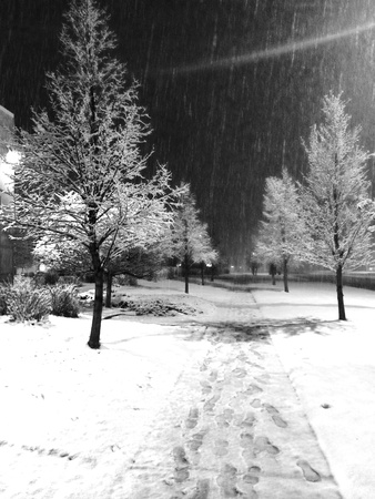 Winter wonderland の素材