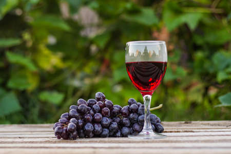 Glass of red wine with a bunch of grapes on wooden background, close upの写真素材
