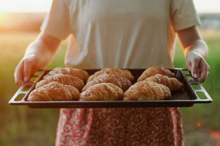 Female baker holding metal tray with fresh croissants at sunset, close upの写真素材