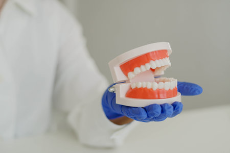 Woman dentist orthodontist in white lab coat holding jaw tooth model in hand. Oral hygiene concept.
