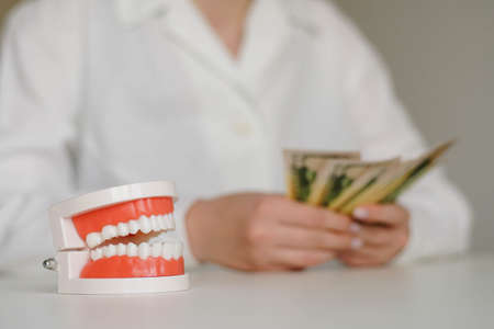 Dental artificial jaw. Woman dentist counting money on the background. Expensive dental care concept.の写真素材