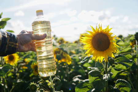 Male hand holding a plastic bottle of fresh yellow sunflower oil on a blooming field background.の写真素材