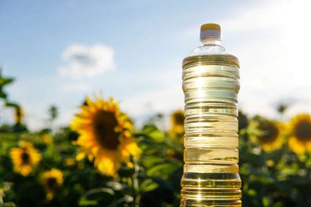 Plastic bottle of fresh golden sunflower oil at sunset. Field of blooming sunflowers on the background.の写真素材