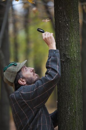 Man detective with a beard wearing a cap and plaid jacket examines through magnifying glass single dry leaf on horizontal tree trunkの写真素材