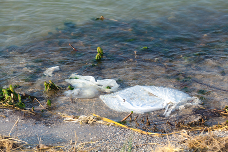 Disposable plastic bags floating near the shore of clean pondの写真素材