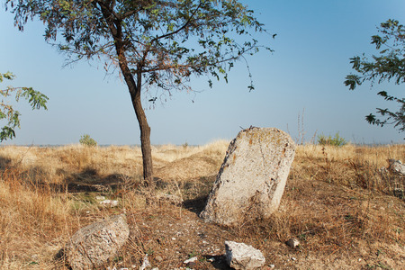Desert landscape with tree and gravestone on background of blue sky and dry yellow grassの写真素材