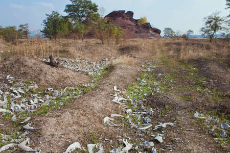 Animal bones scattered on meadow with dry grass and waste heap on blue sky backgroundの写真素材