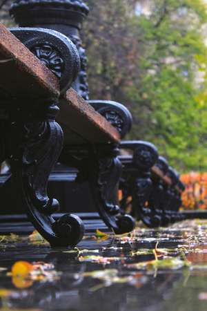 A few benches in a row, shot from below, in drops of autumn rainの写真素材
