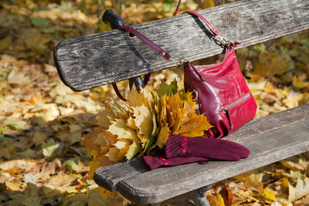 Fashionable fall composition. Stylish burgundy shoulder bag and gloves of same color on the bench in sunny autumn parkの写真素材