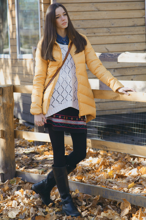 Young beautiful girl stands near the wooden fence in city zoo on sunny autumn dayの写真素材
