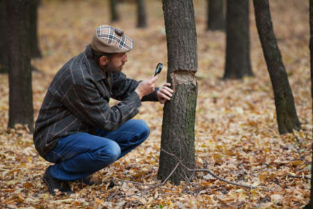 Man with a beard in a plaid jacket and cap with Scottish bubo considers tree trunkの写真素材