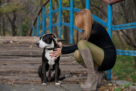 Stylish blonde in short dress holding the collar purebred dog on bridgeの写真素材
