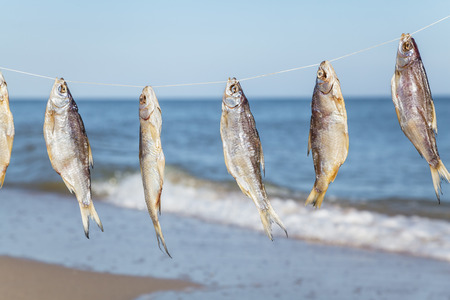 Caught fish hanging and drying on a rope on the beach at summer dayの写真素材